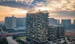 碧桂园房地产最新爆料新闻,揭秘豪宅项目背后的秘密与挑战